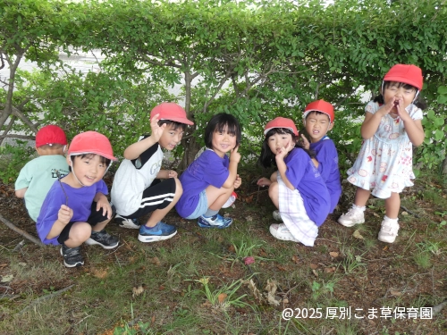 色々な発見をしている子どもたちの様子