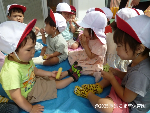 うまい棒をおいしそうにたべる子どもたちの様子