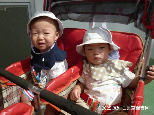 おさんぽカーに乗っている子どもたちの様子