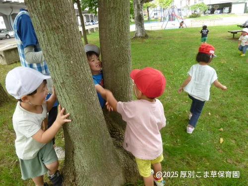 木々などで遊ぶ子どもたちの様子