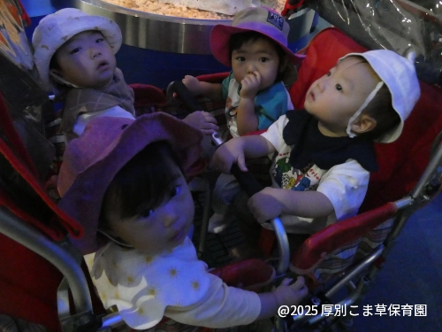 水族館の様子を見ているたんぽぽ組(0歳児)の子どもたちの様子
