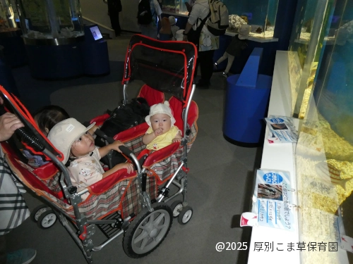 水槽の様子を見つめるたんぽぽ組(0歳児)の様子