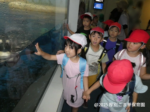 ペンギンの泳ぐ姿を嬉しそうに眺めている子どもたちの様子