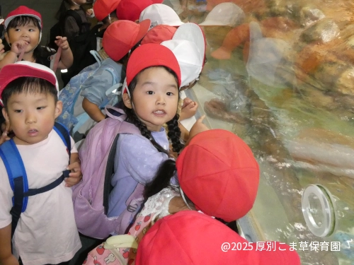 カワウソのかわいい姿を見て興奮している子どもたちの様子