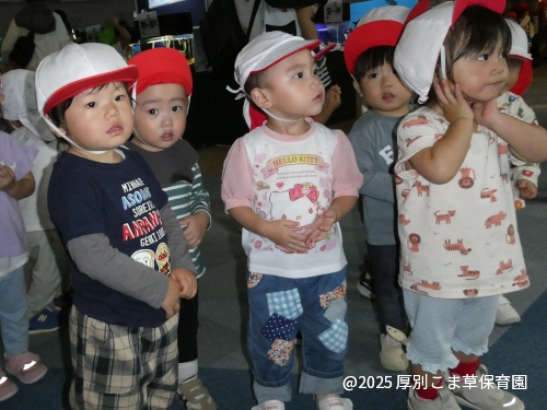 いろいろな水槽が気になっているたんぽぽ組(1歳児)の様子