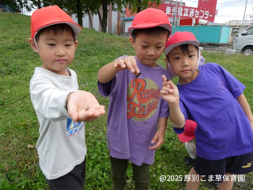 昆虫を見せてくれた子どもたち様子