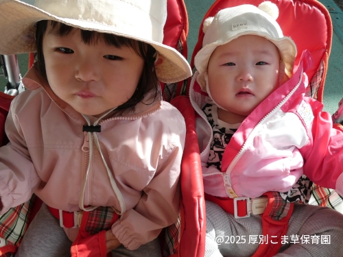 おさんぽカーに乗って遠足にでかけるたんぽぽ組（０歳児）の様子