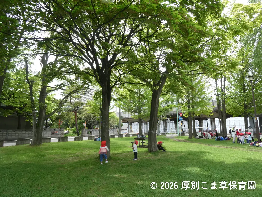 大きな木の下で遊んでいる子どもたちの様子