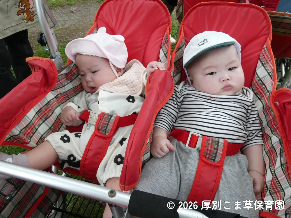 ベビーカーに乗って公園に向っている子どもたちの様子