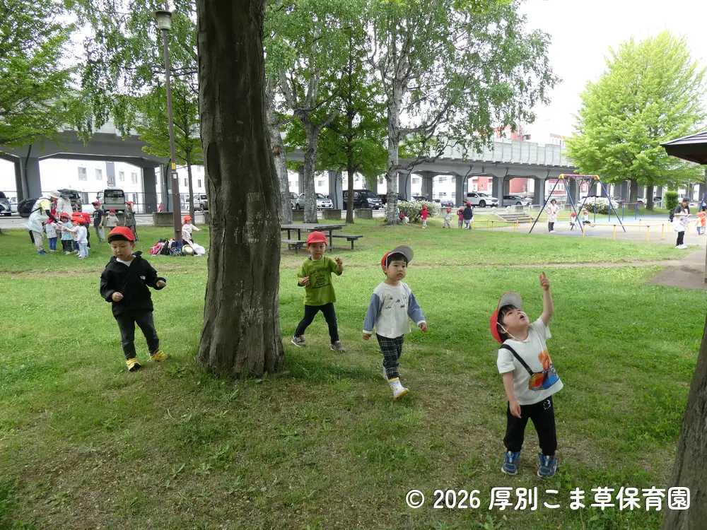 昆虫探しをしている子どもたちの様子