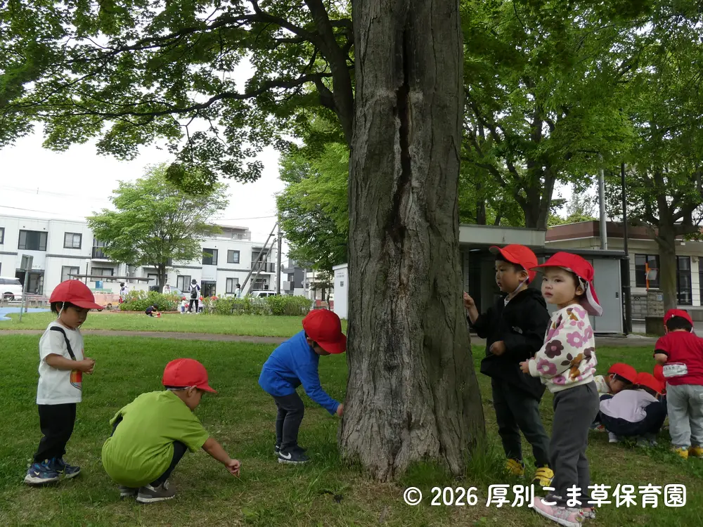 昆虫探しをしている子どもたちの様子