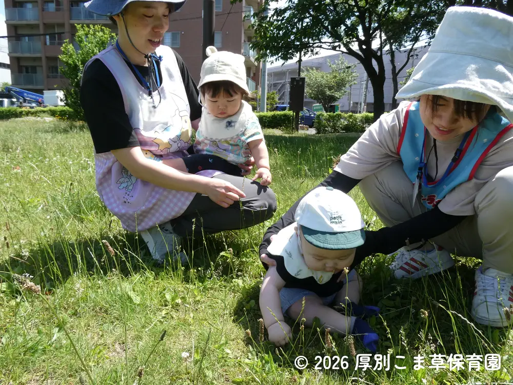 先生に抱っこしてもらいながら公園内を散歩するたんぽぽ組（０歳児）の子どもたちの様子