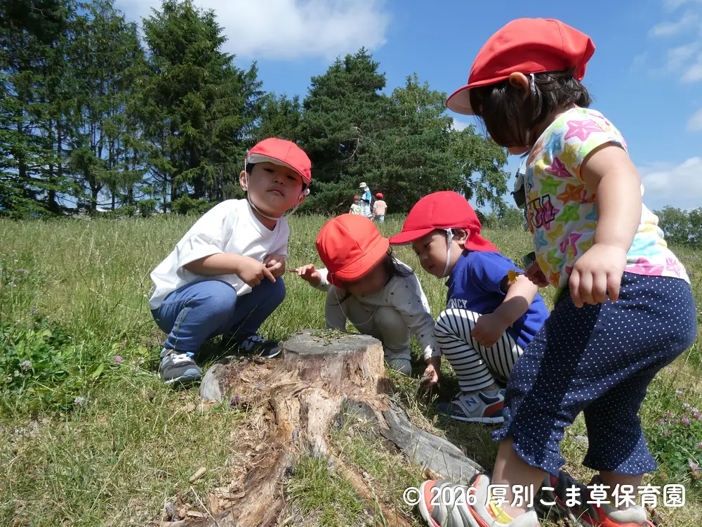 公園の山を探索している子どもたちの様子