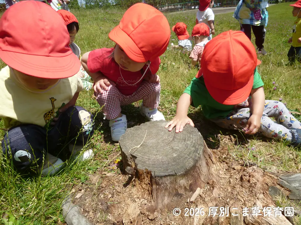公園の山で遊んでいるたんぽぽ組（１歳児）の子どもたちの様子