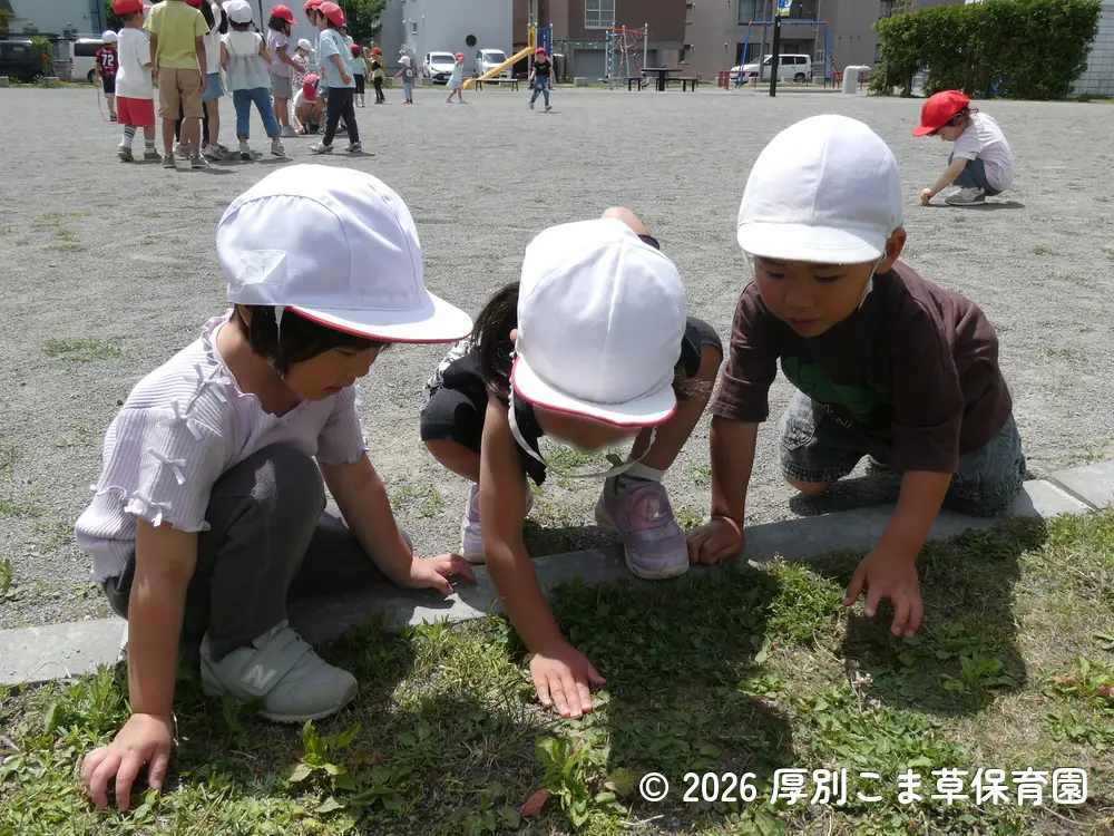 虫を探している子どもたちの様子