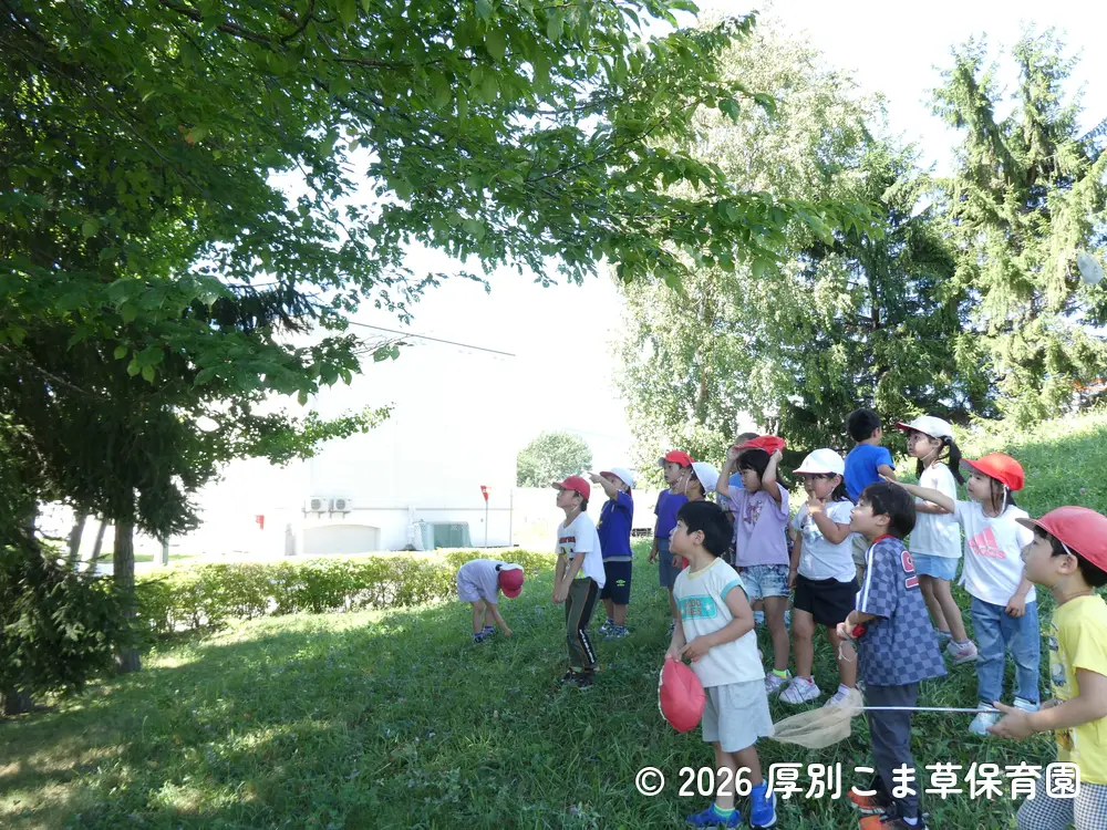 公園のお山で元気に遊んでいる子どもたちの様子