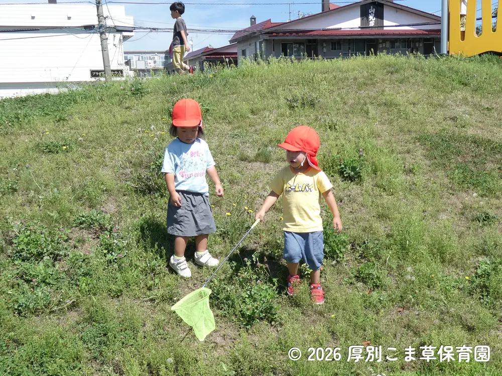 公園のお山で元気に遊んでいる子どもたちの様子