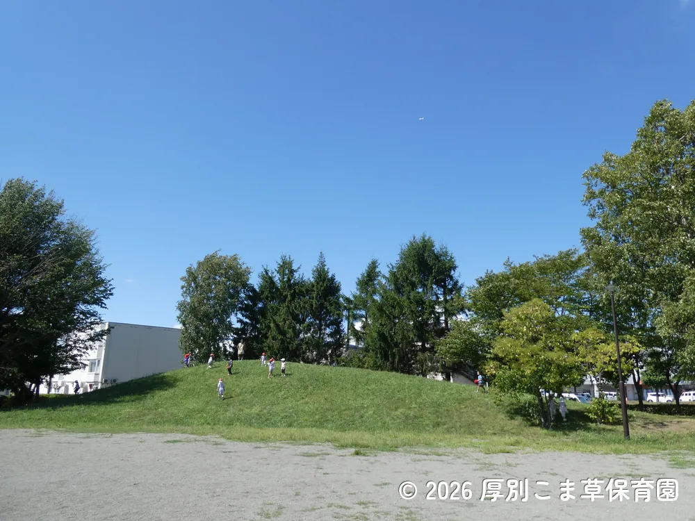 大きな山で遊んでいる子どもたちの様子